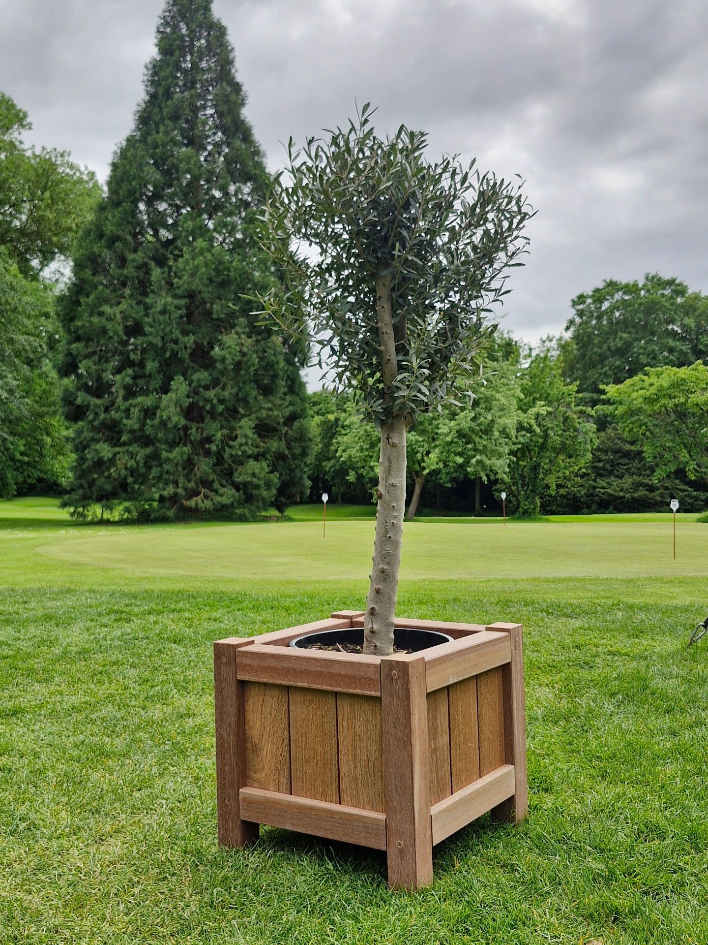 Drie Terrano plantenbakken naast elkaar — 50, 80 en 100 cm